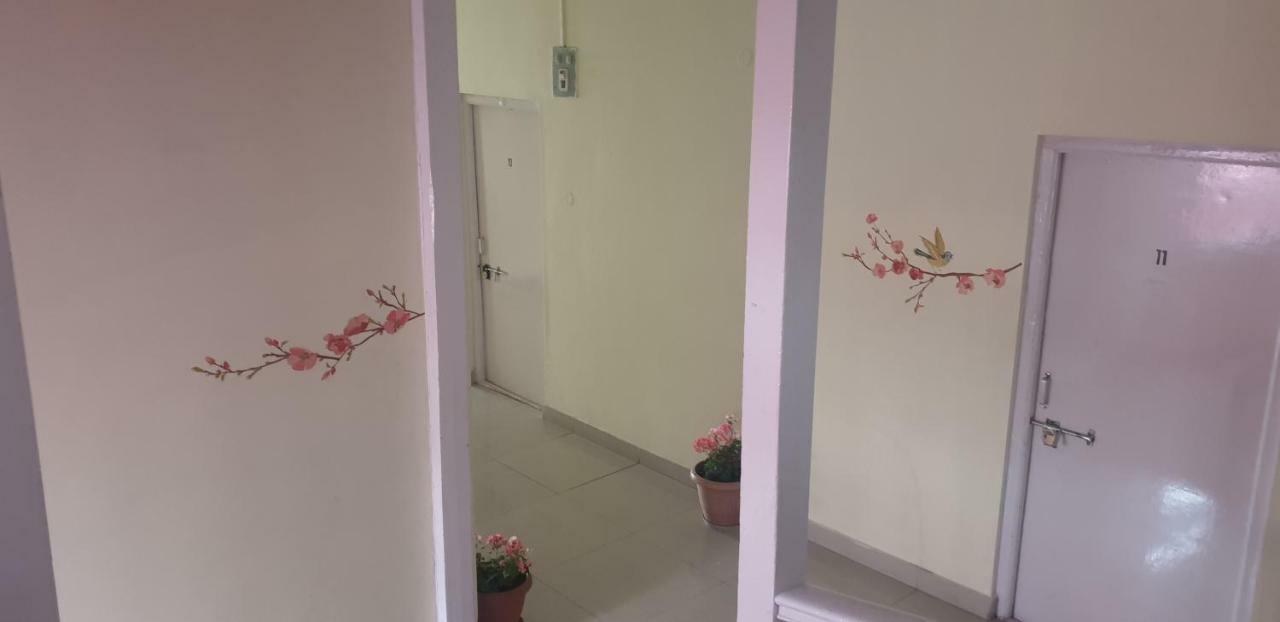 Ymca Tourist Hostel 심라 외부 사진